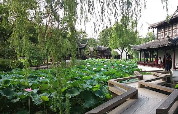 Vườn Sen du thuyền ngắm sông Tô Châu